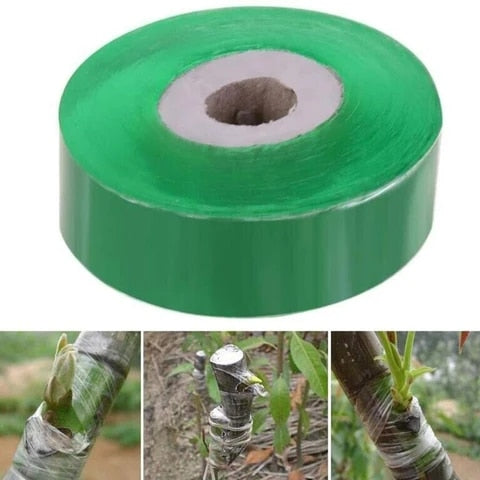 Professionelle Gartenveredelung