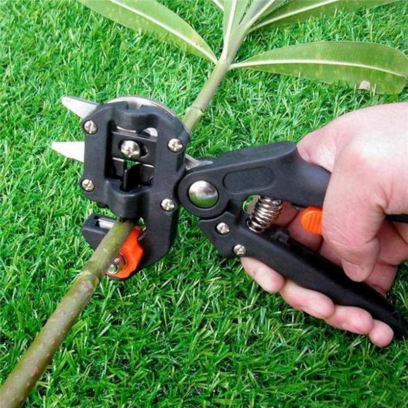 Professional Garden Grafting