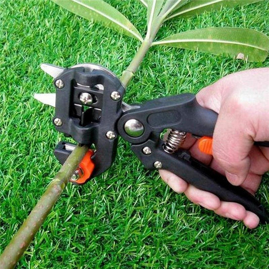 Professionelle Gartenveredelung