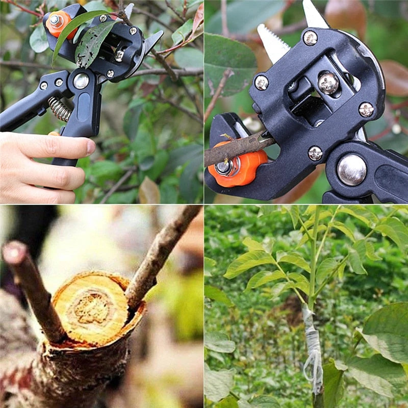 Professional Garden Grafting