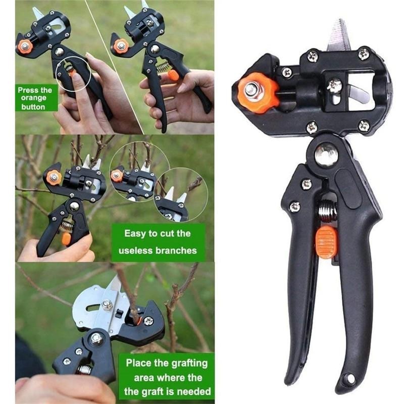 Professional Garden Grafting
