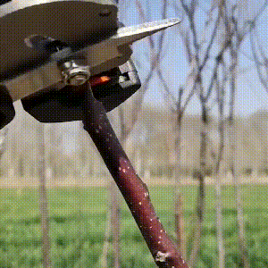Professional Garden Grafting