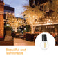 Italian Bistro led Lights