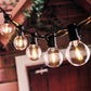 Italian Bistro led Lights