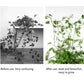 ClimbingClip™ - Invisible Clip Plant Climbing